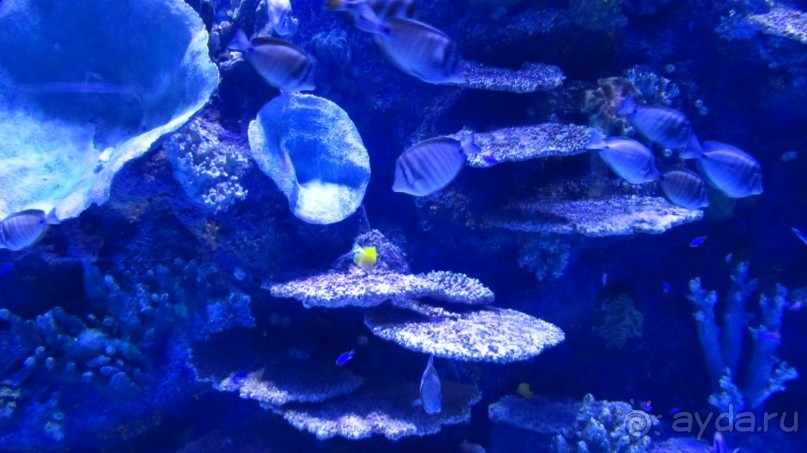 фото Wassermann Hotel