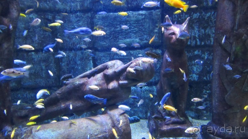 фото Wassermann Hotel