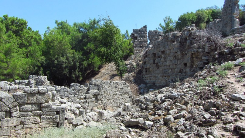 фото Wassermann Hotel