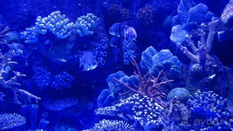 фото Wassermann Hotel