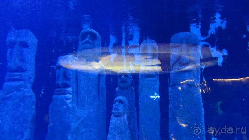 фото Wassermann Hotel