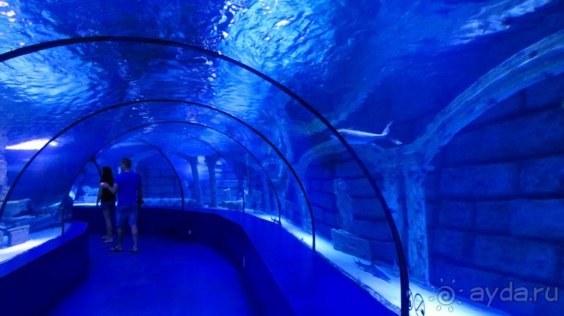 фото Wassermann Hotel