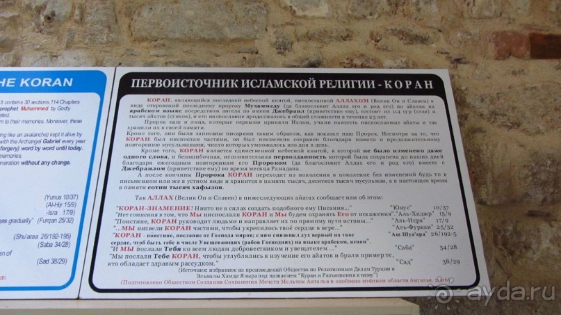 фото Wassermann Hotel