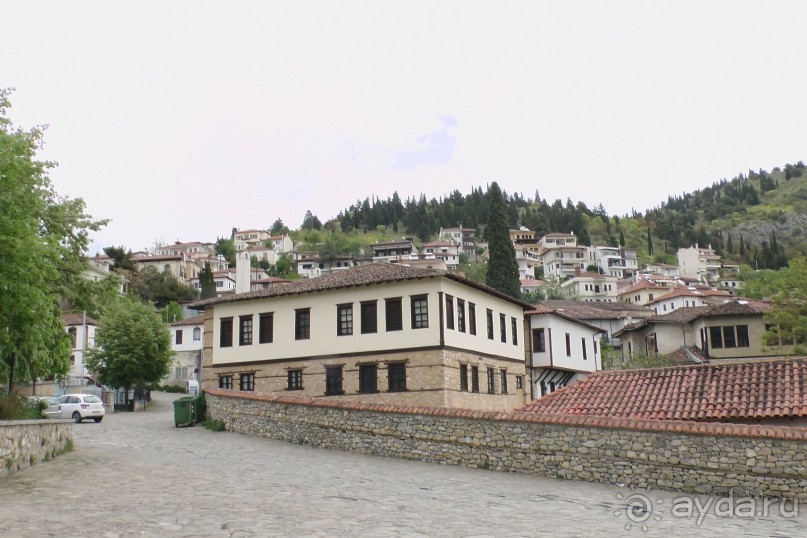 Виды Кастории