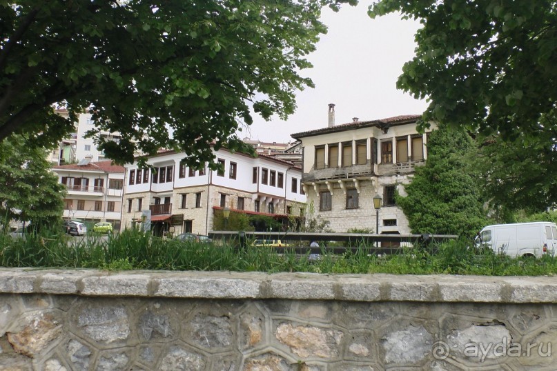 Виды Кастории