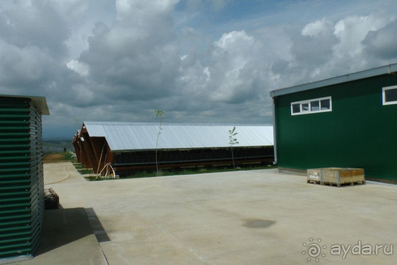 Ферма по разведеню норок