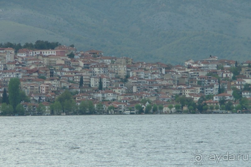 Виды Кастории