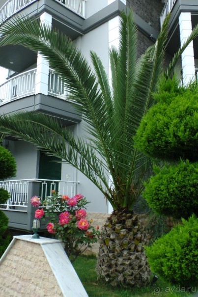 Отель Николаса Villa Paradise