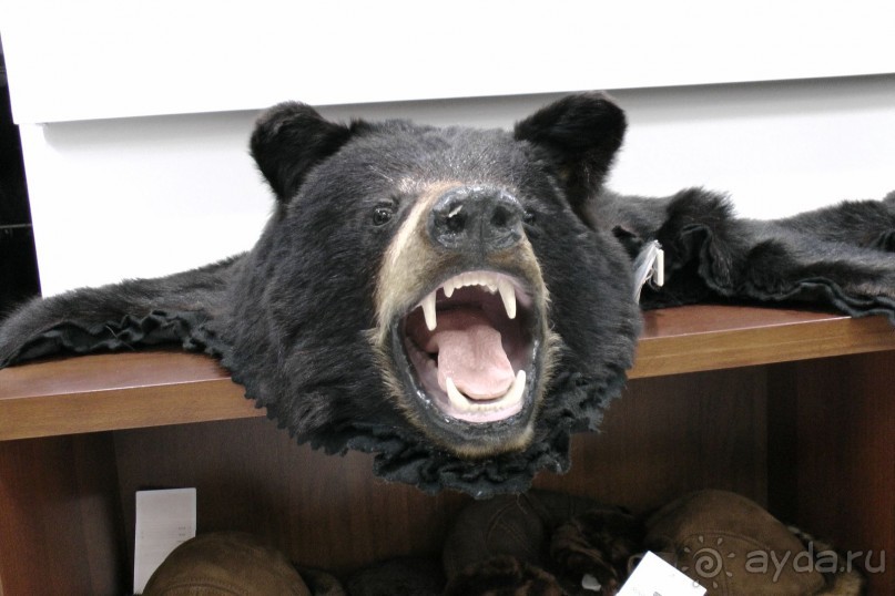 Отзыв о покупке шубы в Греции, Кастория 2014