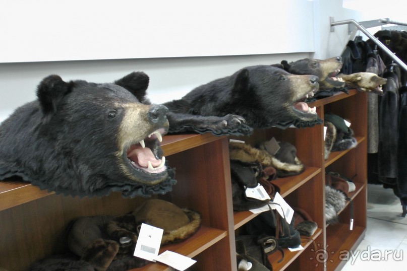 Отзыв о покупке шубы в Греции, Кастория 2014