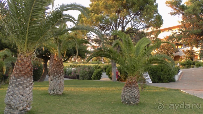 Повторение пройденного.