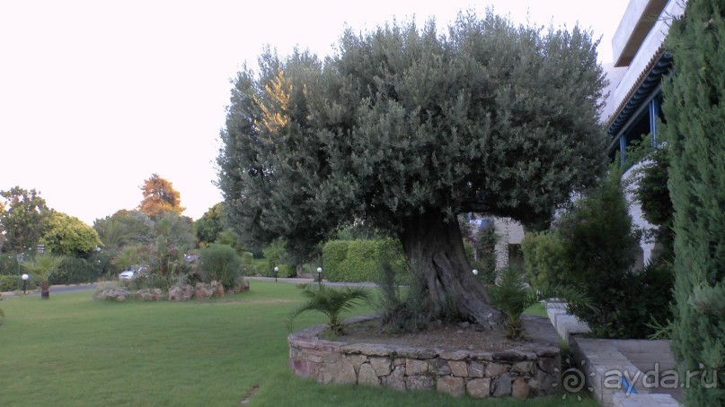 Повторение пройденного.