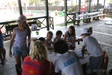 Aldemar Oympian Village подробно