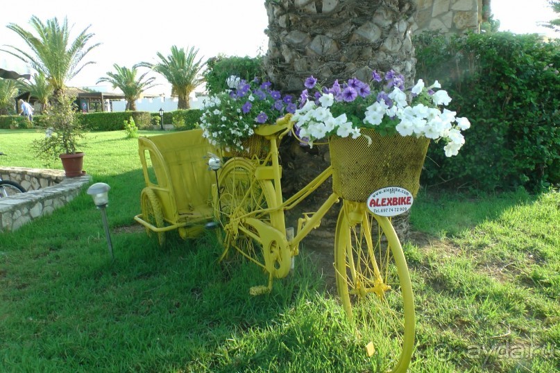 Aldemar Oympian Village подробно