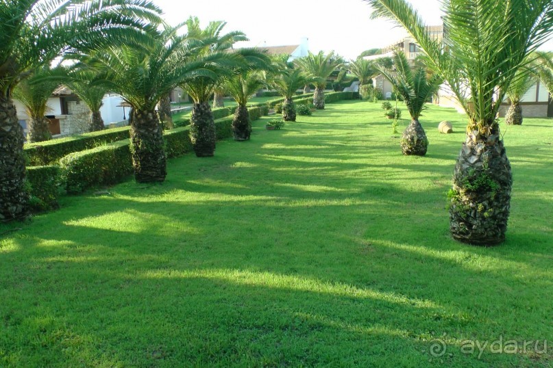 Aldemar Oympian Village подробно