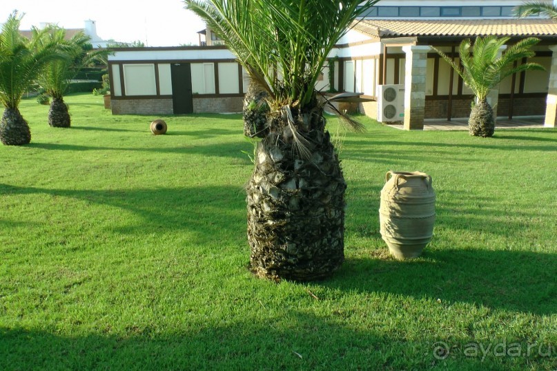 Aldemar Oympian Village подробно