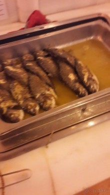 Aldemar Oympian Village подробно