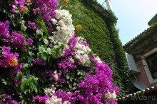 Aldemar Oympian Village подробно