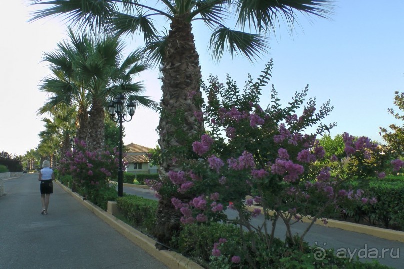 Aldemar Oympian Village подробно