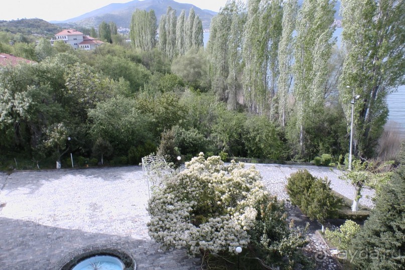 фото Tsamis