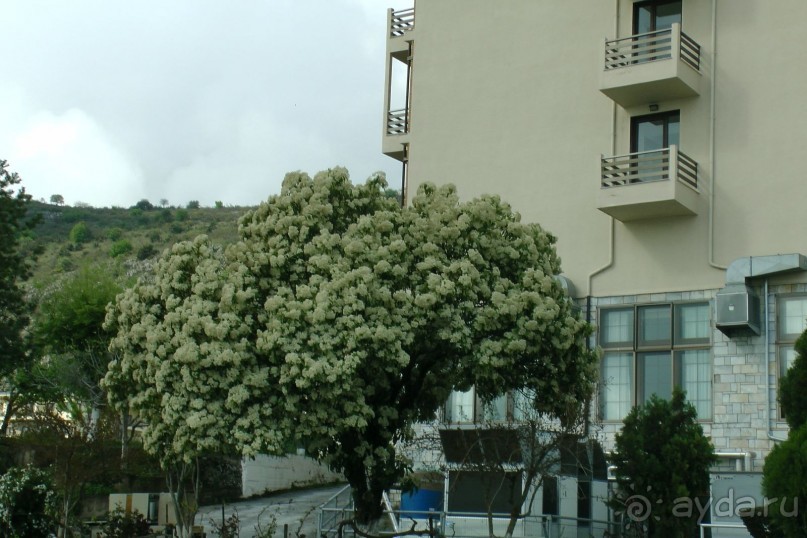 Хороший отель для деловых поездок в красивом месте.