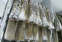 Дубаи 2015. Покупка шубы, шопинг, экскурсии. Отзыв и практические советы.