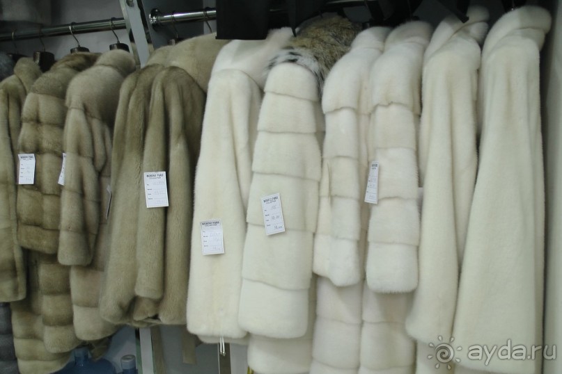 Дубаи 2015. Покупка шубы, шопинг, экскурсии. Отзыв и практические советы.