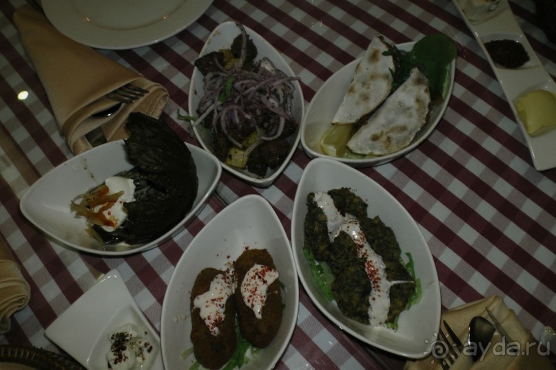 Дубаи 2015. Покупка шубы, шопинг, экскурсии. Отзыв и практические советы.