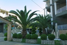 Купить хорошую шубу в Греции (2015). Отзыв и полезные советы.