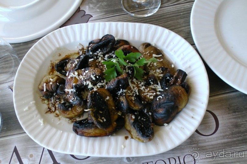 Купить хорошую шубу в Греции (2015). Отзыв и полезные советы.