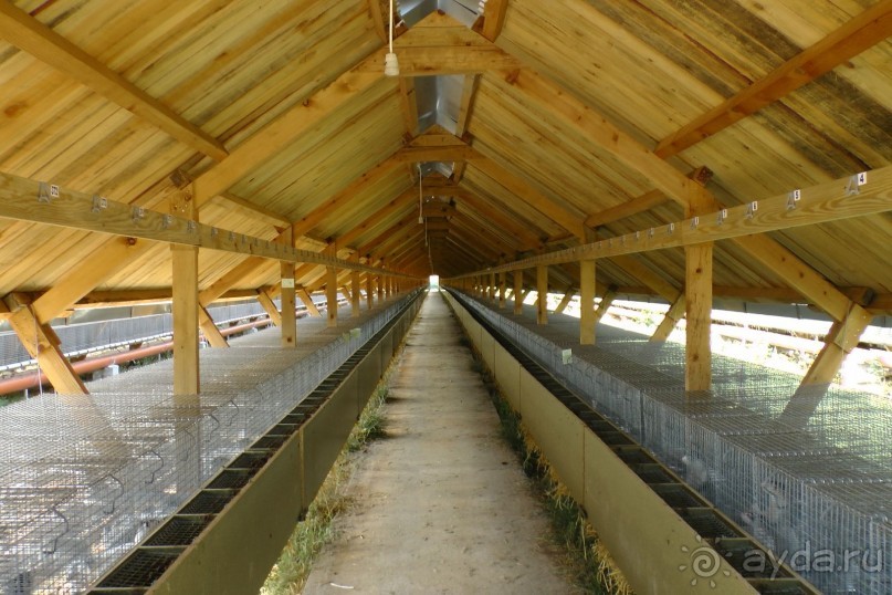 Купить хорошую шубу в Греции (2015). Отзыв и полезные советы.