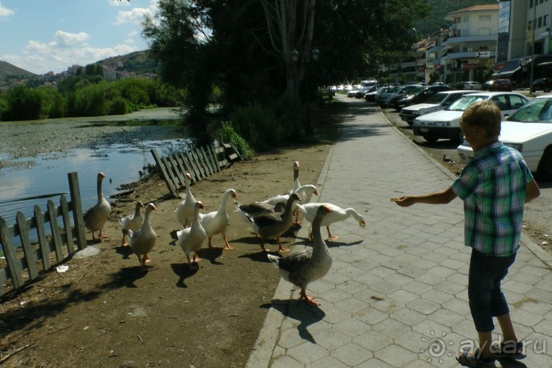 Купить хорошую шубу в Греции (2015). Отзыв и полезные советы.