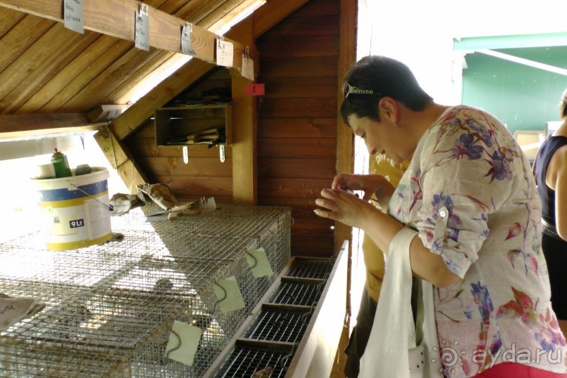 Купить хорошую шубу в Греции (2015). Отзыв и полезные советы.