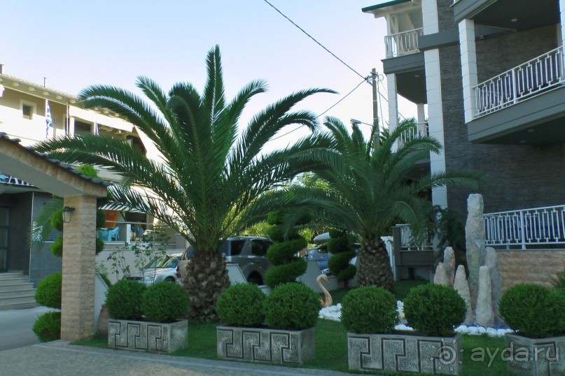 Купить хорошую шубу в Греции (2015). Отзыв и полезные советы.