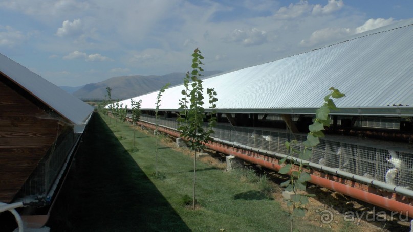 Купить хорошую шубу в Греции (2015). Отзыв и полезные советы.