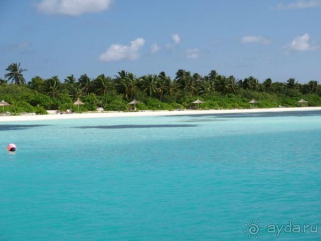 фото Paradise Island Resort & Spa