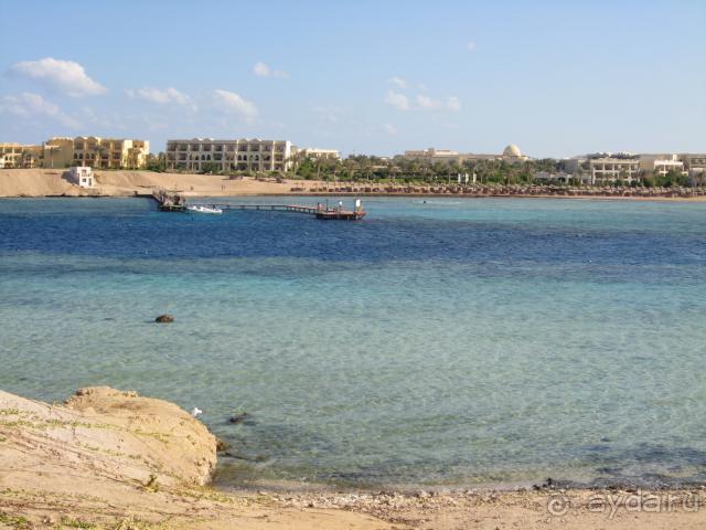 лучшие рыбы Красного моря здесь!