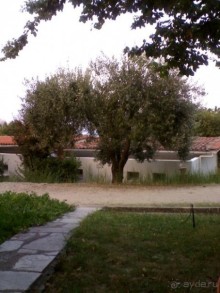 Всё очень понравилось,но есть одно но.....