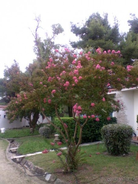 Всё очень понравилось,но есть одно но.....