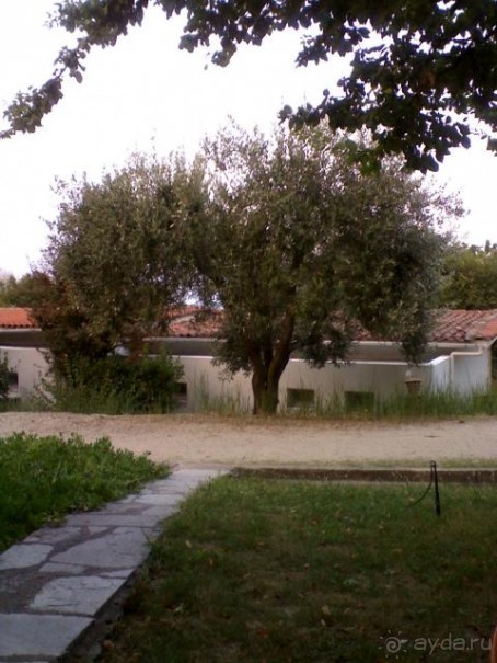 Всё очень понравилось,но есть одно но.....