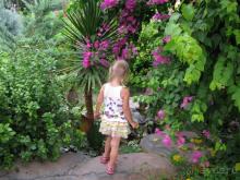 Очень зеленый отель