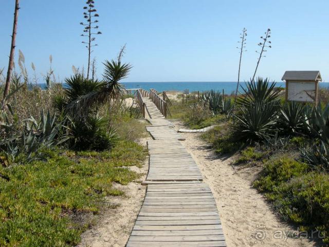 фото Playas De Guardamar