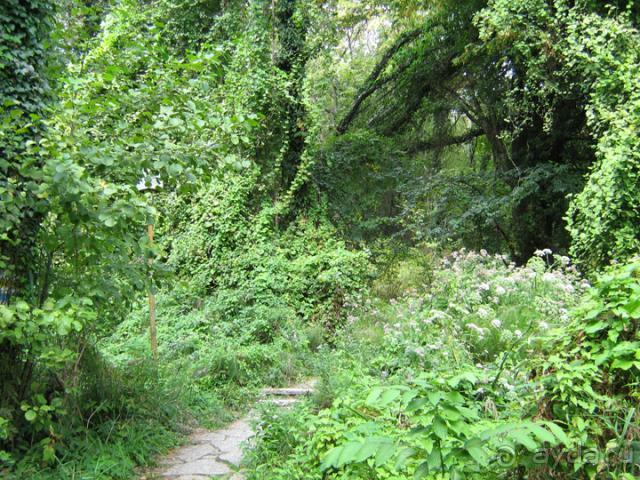 фото All Seasons Badawia