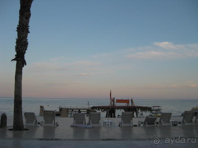 Они реально стараются. Хорошо