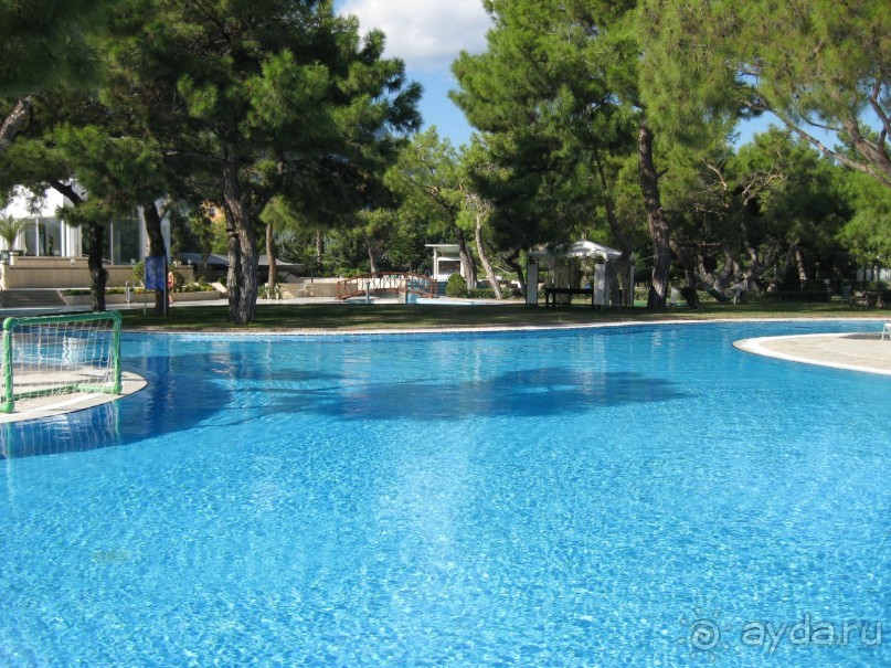 Бассейн отеля. Большой и чистый