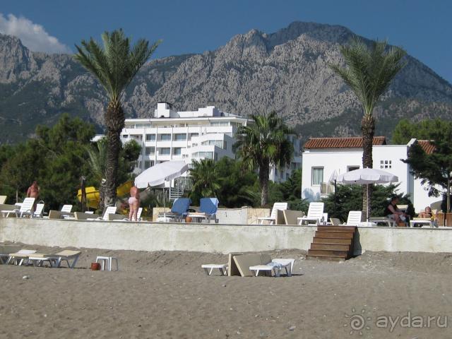 Они реально стараются. Хорошо