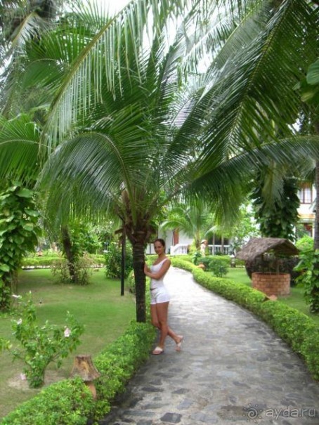 Территория