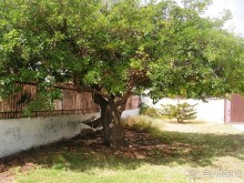 Прекрасная Сицилия