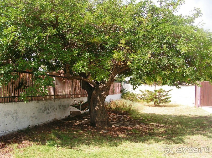 Прекрасная Сицилия