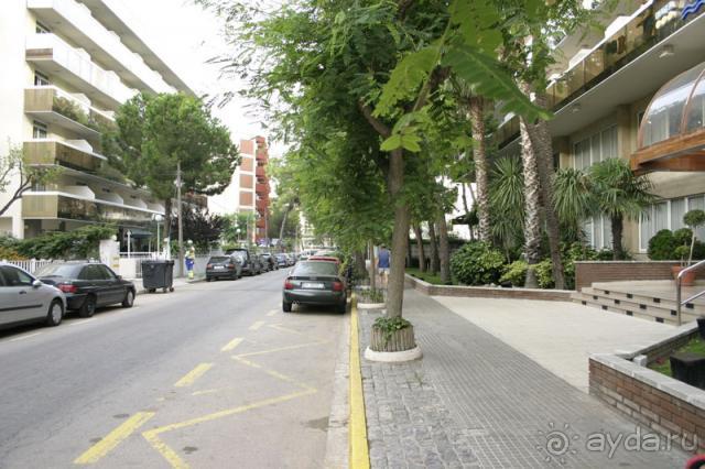 фото Marinada
